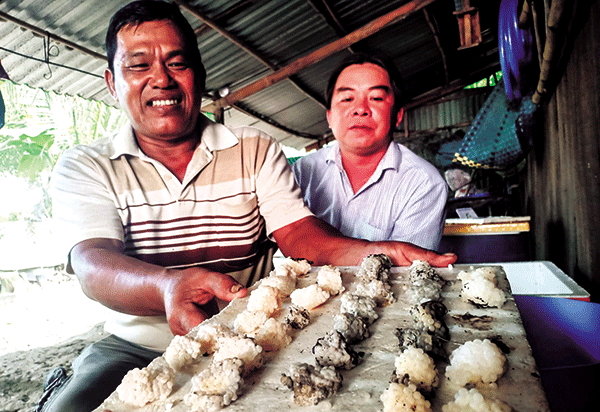 Nghề &quot;làm chơi ăn thiệt&quot; nuôi ốc bươu đen vốn bỏ ra 1 thu về gấp 4 gấp 5, lại chẳng tốn sức chăm - Ảnh 1.