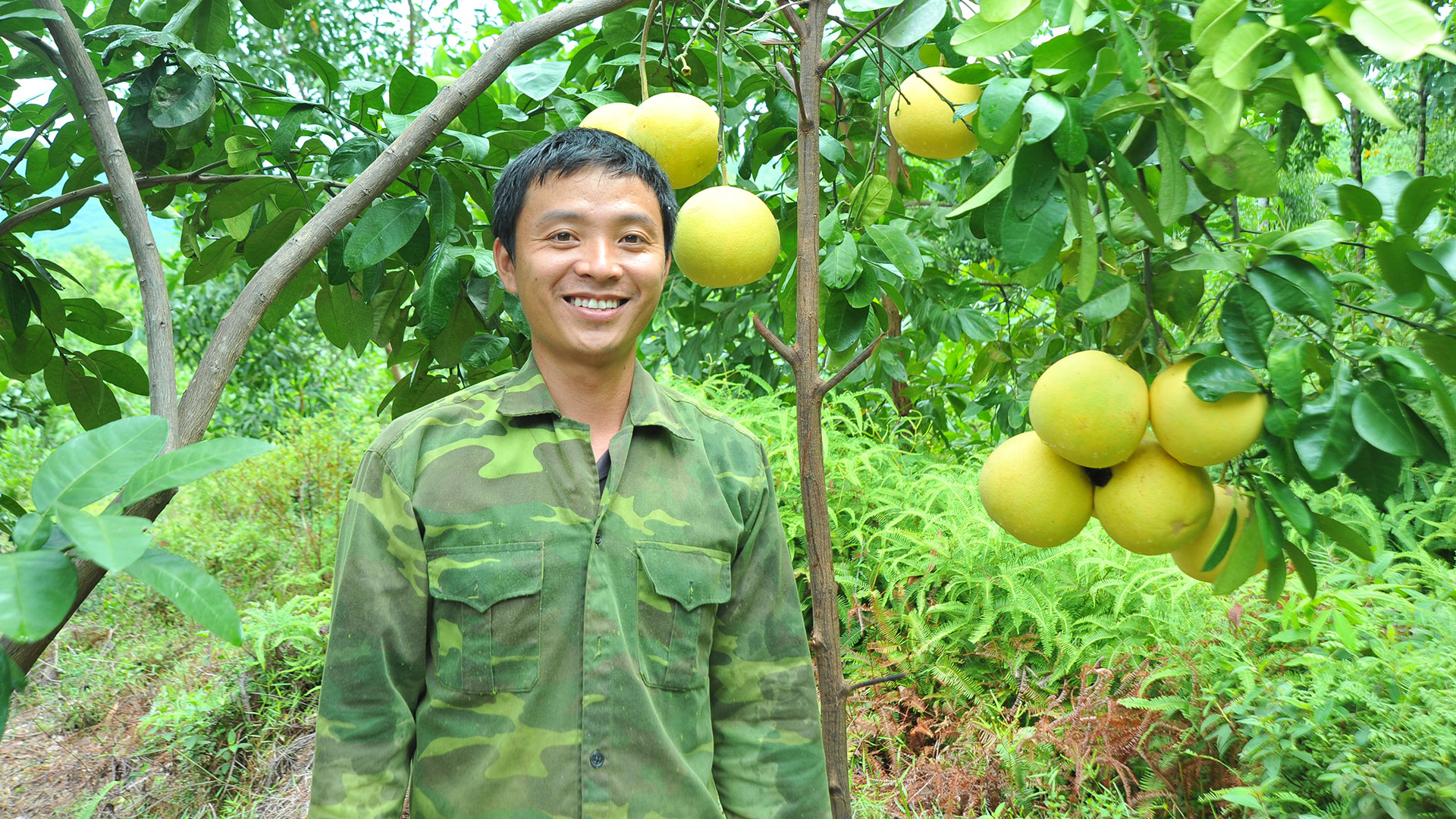 Dịch Covid-19: Chúng tôi lên “phây” bán được cả chục tấn bưởi Phúc Trạch - Ảnh 1.