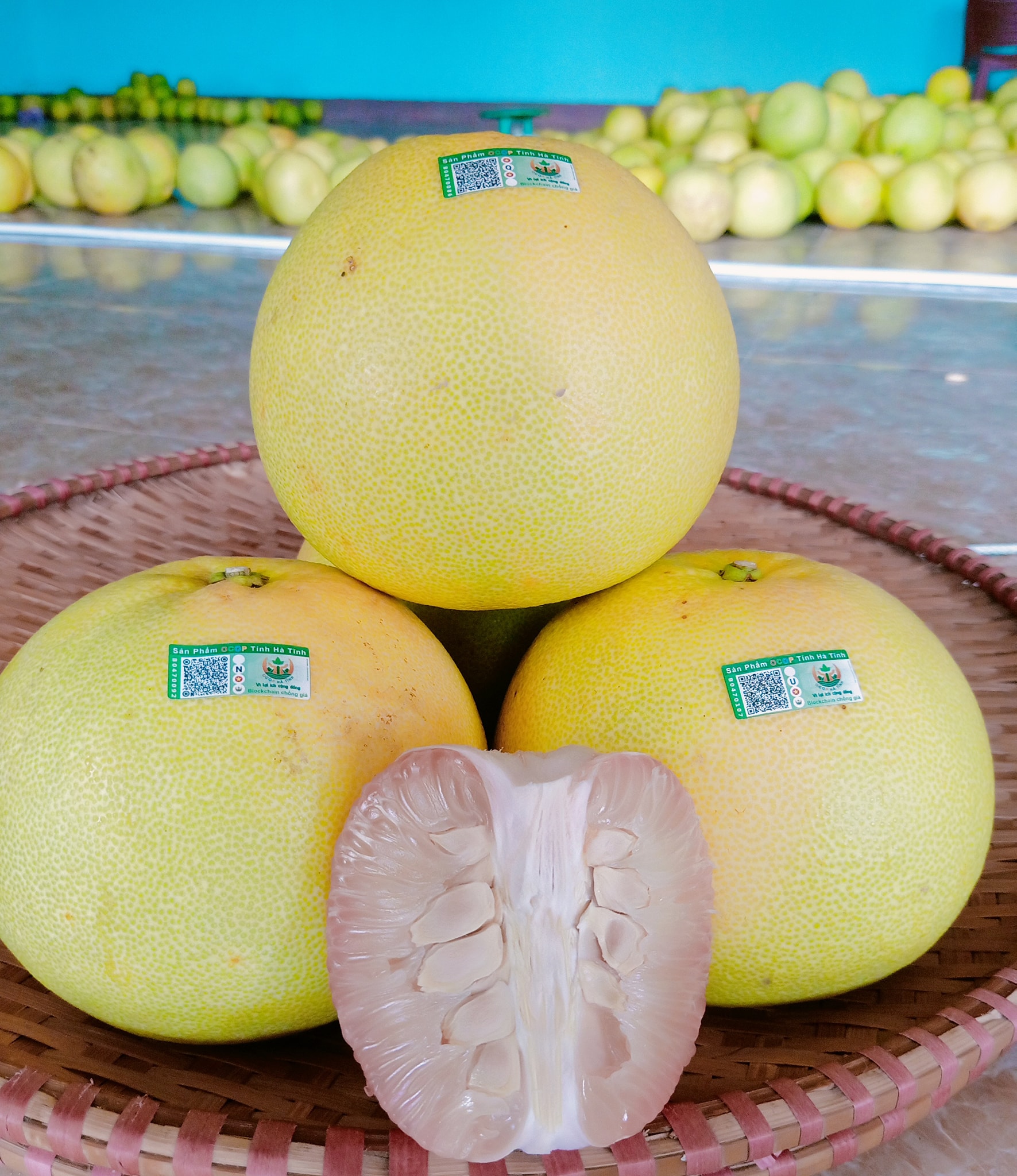 Dịch Covid-19: Chúng tôi lên “phây” bán được cả chục tấn bưởi Phúc Trạch - Ảnh 2.