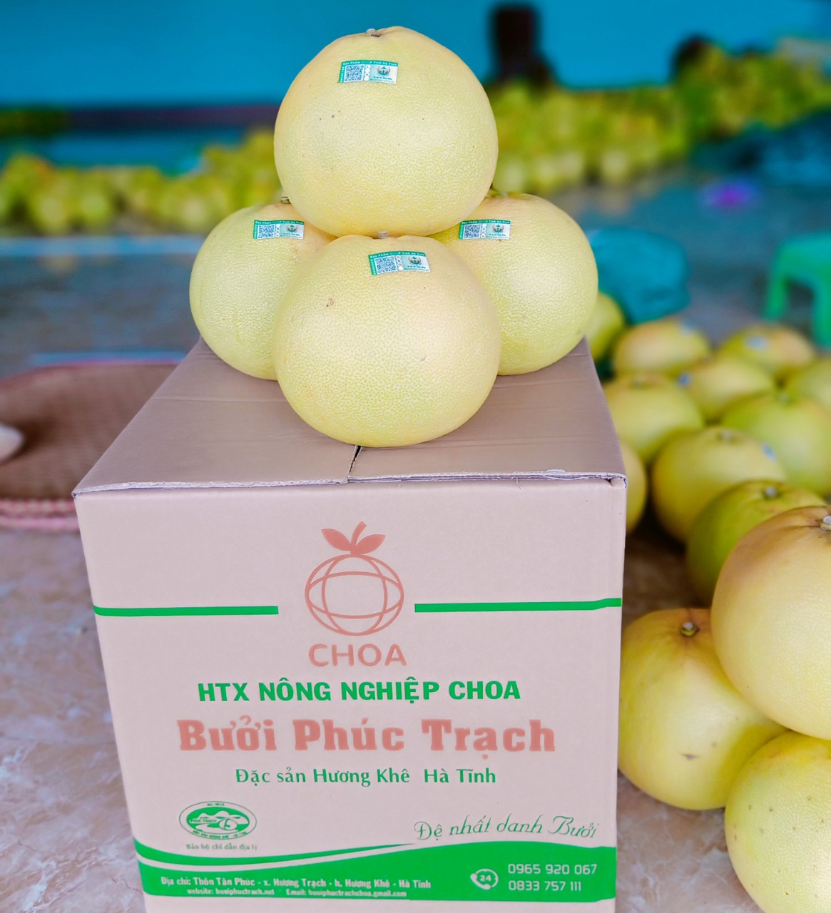 Dịch Covid-19: Chúng tôi lên “phây” bán được cả chục tấn bưởi Phúc Trạch - Ảnh 3.