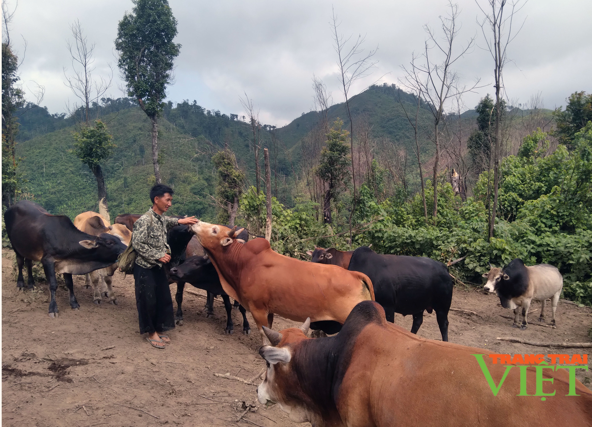 Xây dựng nông thôn mới ở xã vùng biên Mường Lạn - Ảnh 2. Xây dựng nông thôn mới ở xã vùng biên Mường Lạn - Ảnh 2.