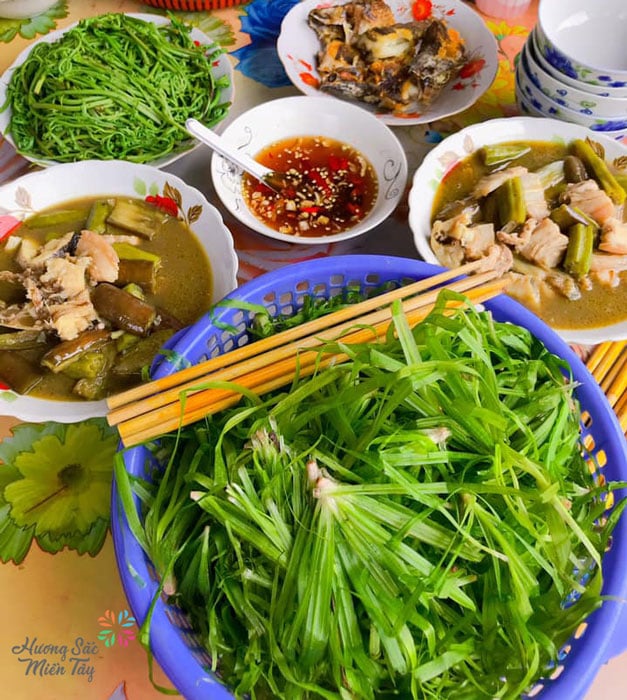 Những loại rau mọc hoang xưa chỉ coi là cỏ dại nay thành đặc sản hiên ngang trên bàn tiệc hạng sang ở miền Tây - Ảnh 6.