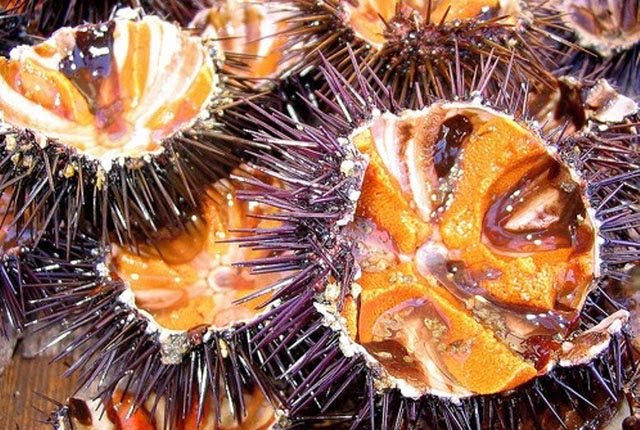 Bình Định nổi tiếng với món đặc sản gai góc, không phải có tiền là mua được - Ảnh 1.