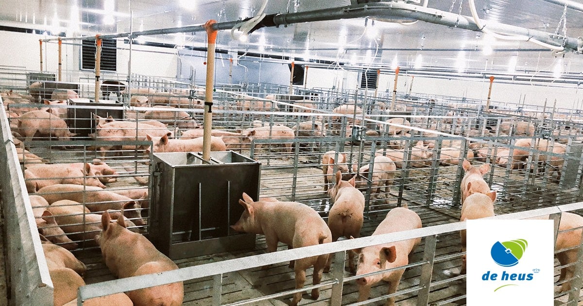 Chân dung Tập đoàn Hoàng gia Hà Lan sở hữu số lượng nhà máy sản xuất thức ăn chăn nuôi nhiều nhất Việt Nam - Ảnh 5.