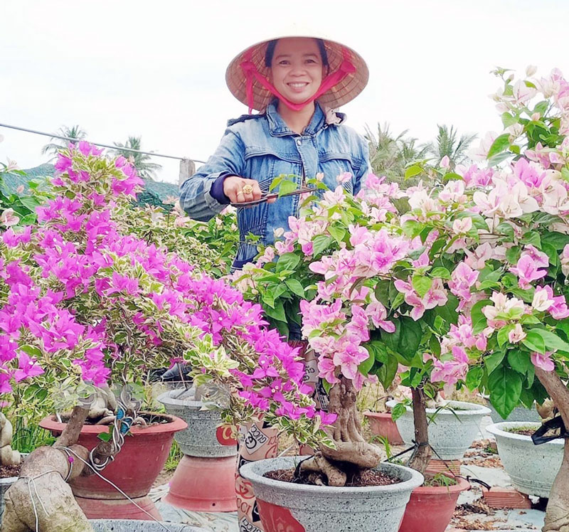 Bến Tre: Quanh năm trồng các loại cây cảnh đang hot, giáp tết tư vấn nhiệt tình, khách mua tơi tới - Ảnh 1.