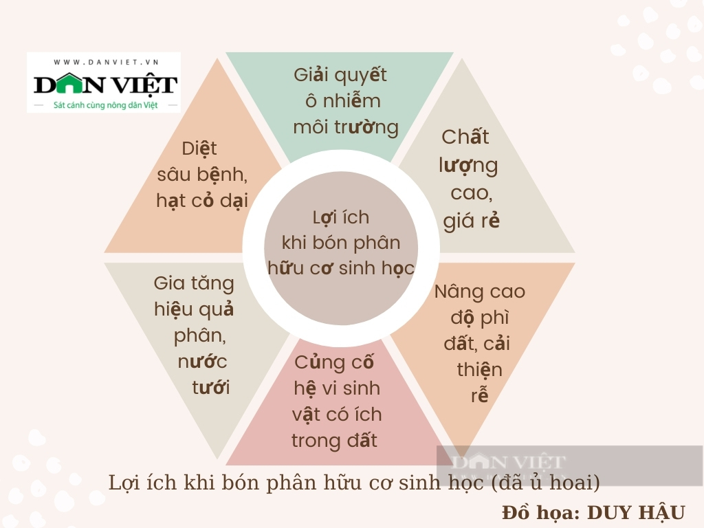 Giá cà phê Đắk Lắk hôm nay: Biến động liên tục, bón phân hữu cơ sinh học có lợi ích gì? - Ảnh 4.