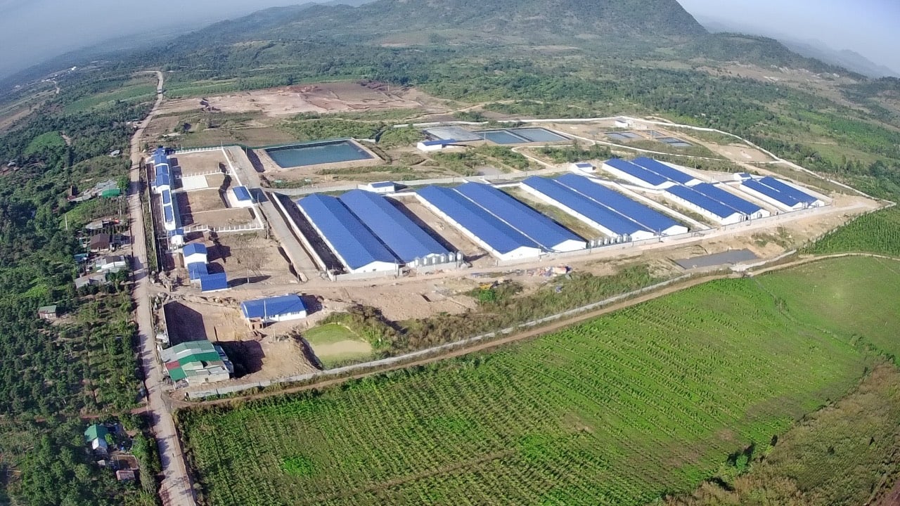 Chân dung Tập đoàn Hoàng gia Hà Lan sở hữu số lượng nhà máy sản xuất thức ăn chăn nuôi nhiều nhất Việt Nam - Ảnh 2.