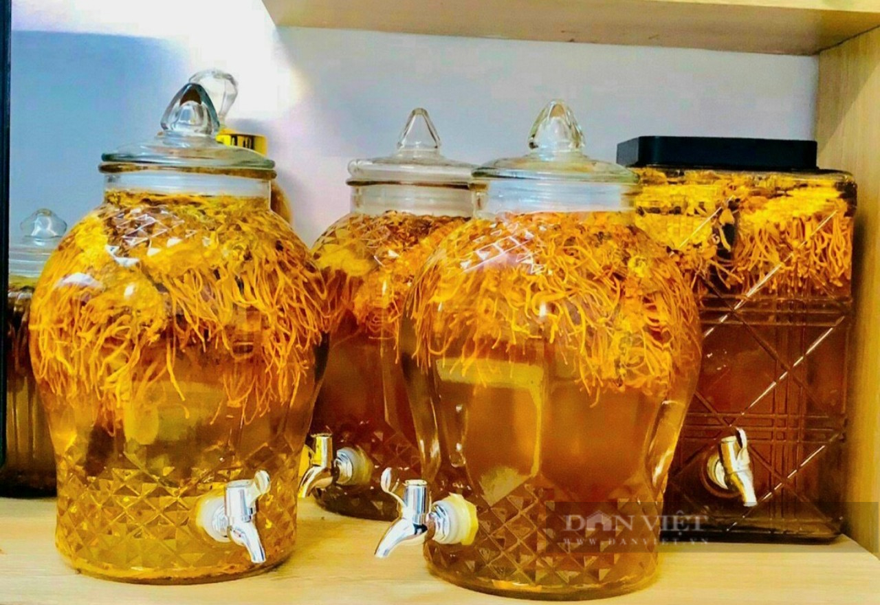 9X Ninh Bình thu tiền tỉ từ sản xuất nấm đông trùng hạ thảo - Ảnh 7.