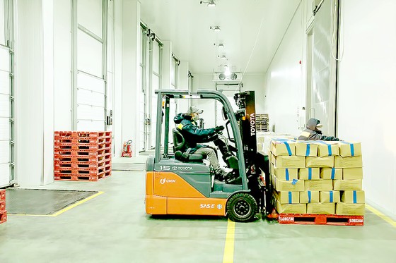 Thủ phủ trái cây ĐBSCL: Đụng đâu cũng thiếu vốn - Ảnh 1.