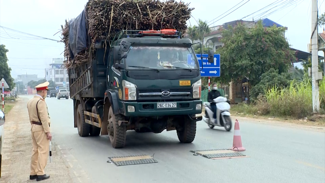 Sơn La: Quyết liệt ngăn chặn xe quá khổ, quá tải trong mùa thu hoạch mía - Ảnh 2. Sơn La: Quyết liệt ngăn chặn xe quá khổ, quá tải trong mùa thu hoạch mía - Ảnh 2.