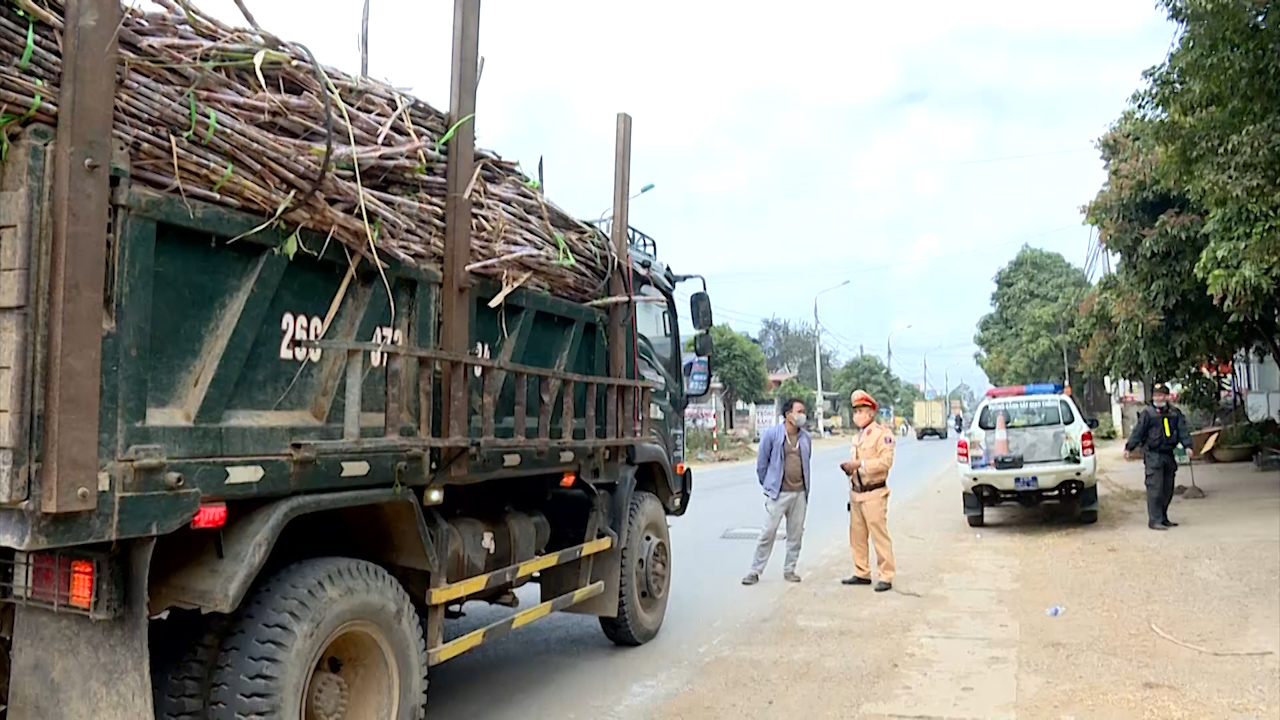 Sơn La: Quyết liệt ngăn chặn xe quá khổ, quá tải trong mùa thu hoạch mía - Ảnh 3. Sơn La: Quyết liệt ngăn chặn xe quá khổ, quá tải trong mùa thu hoạch mía - Ảnh 3.