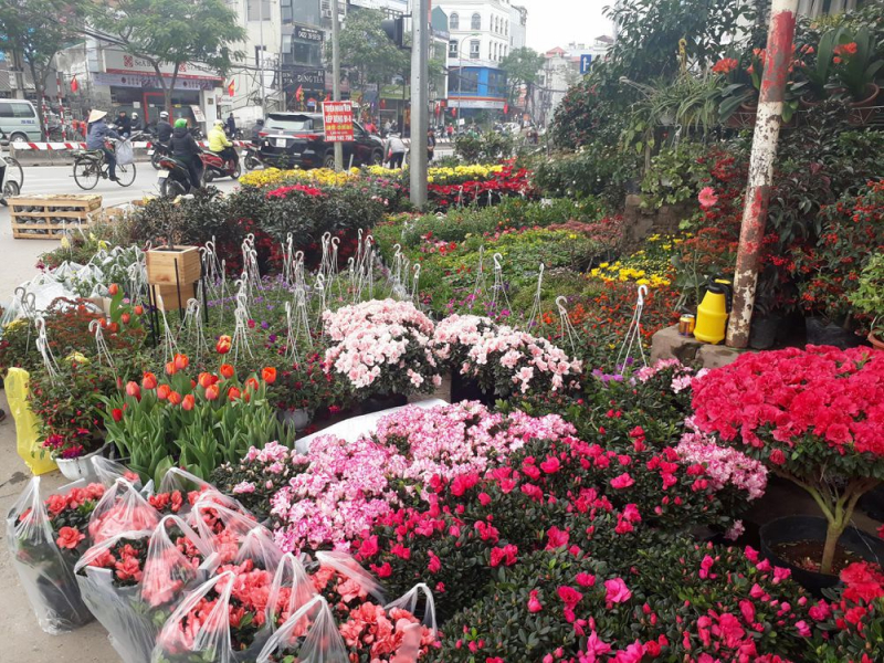 Du lịch Hà Nội dịp Tết Âm không thể bỏ qua 6 chợ hoa Tết nổi tiếng - Ảnh 7.