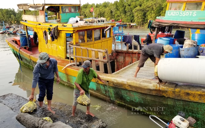 Cảng cá Đồng Hòa, nơi người dân mua cá không cần hỏi giá, dân phượt sành điệu cũng ít biết chốn này- Ảnh 3.