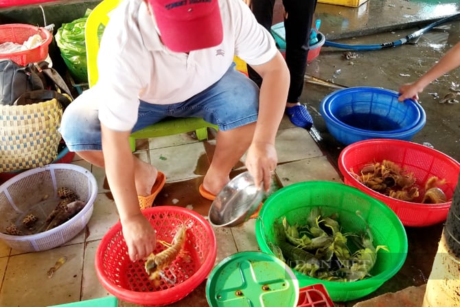 Cảng cá Đồng Hòa, nơi người dân mua cá không cần hỏi giá, dân phượt sành điệu cũng ít biết chốn này- Ảnh 8.