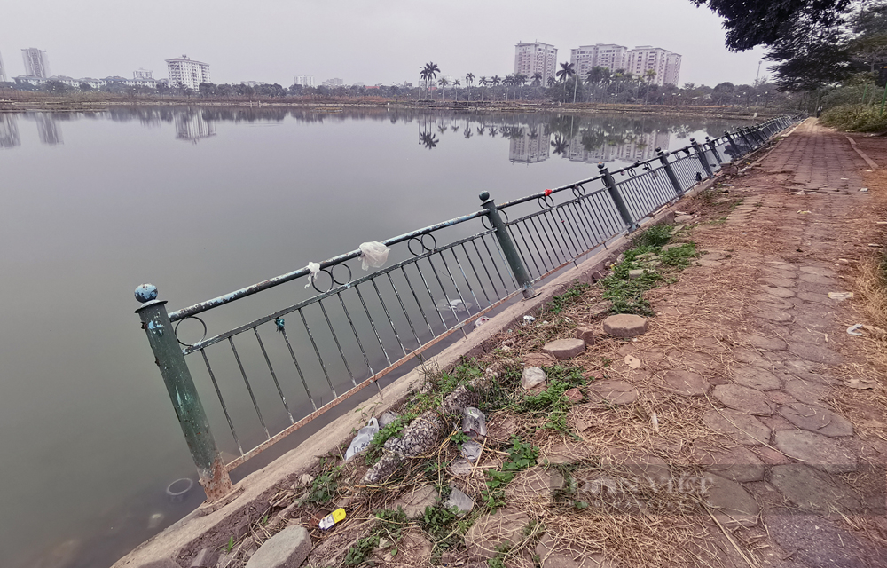 Công viên hơn 70 tỷ đồng đối diện trung tâm hành chính quận Long Biên như... đồng cỏ cháy - Ảnh 7.