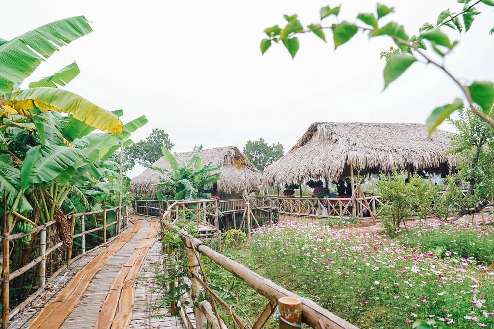 Ngẩn ngơ với vẻ đẹp của làng quê Việt bên sông Hồng, nơi 'tìm lại thời gian đã mất' - Ảnh 1.