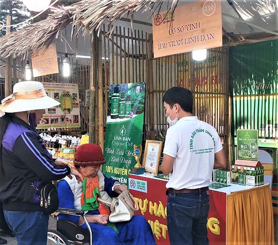 Sống khỏe nhờ cây tràm - Ảnh 1. Sống khỏe nhờ cây tràm - Ảnh 1.