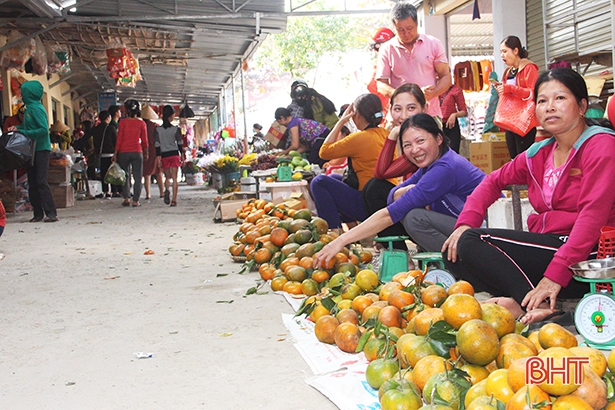 Cam bù Hà Tĩnh - Ảnh 4.