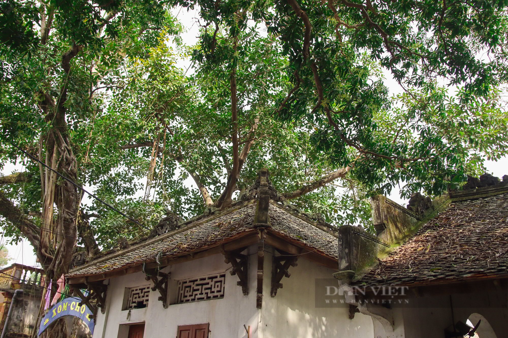 Hà Nội: - Ảnh 7.