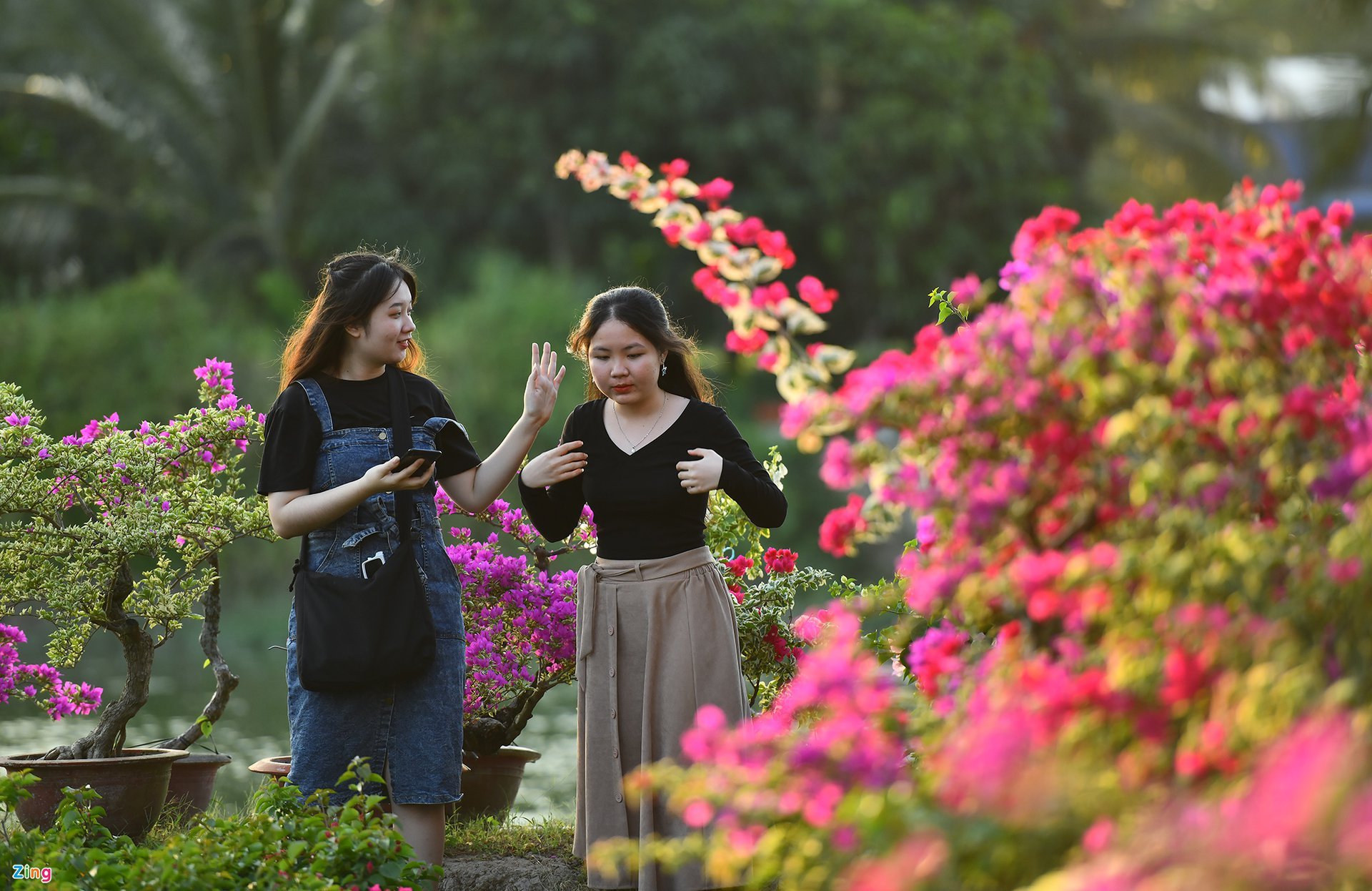 Làng hoa kiểng lò gạch ở Bến Tre - Ảnh 3. Làng hoa kiểng lò gạch ở Bến Tre - Ảnh 3.