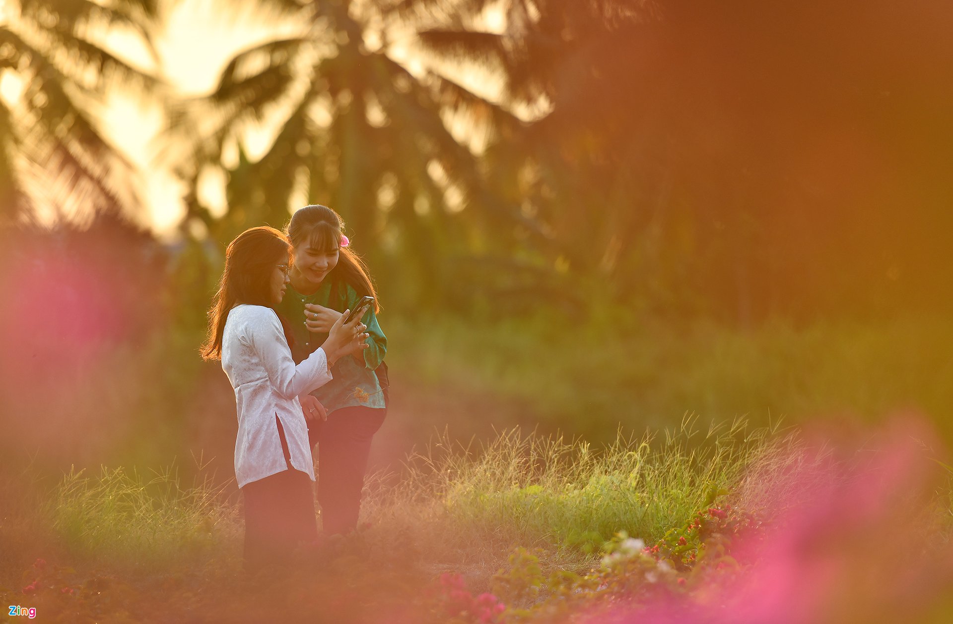 Làng hoa kiểng lò gạch ở Bến Tre - Ảnh 5. Làng hoa kiểng lò gạch ở Bến Tre - Ảnh 5.