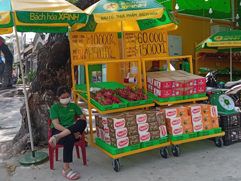 Trung Quốc nghỉ Tết sớm, thương nhân bỏ cọc chấp nhận đền 15 tỷ cho người trồng thanh long - Ảnh 1. Trung Quốc nghỉ Tết sớm, thương nhân bỏ cọc chấp nhận đền 15 tỷ cho người trồng thanh long - Ảnh 1.