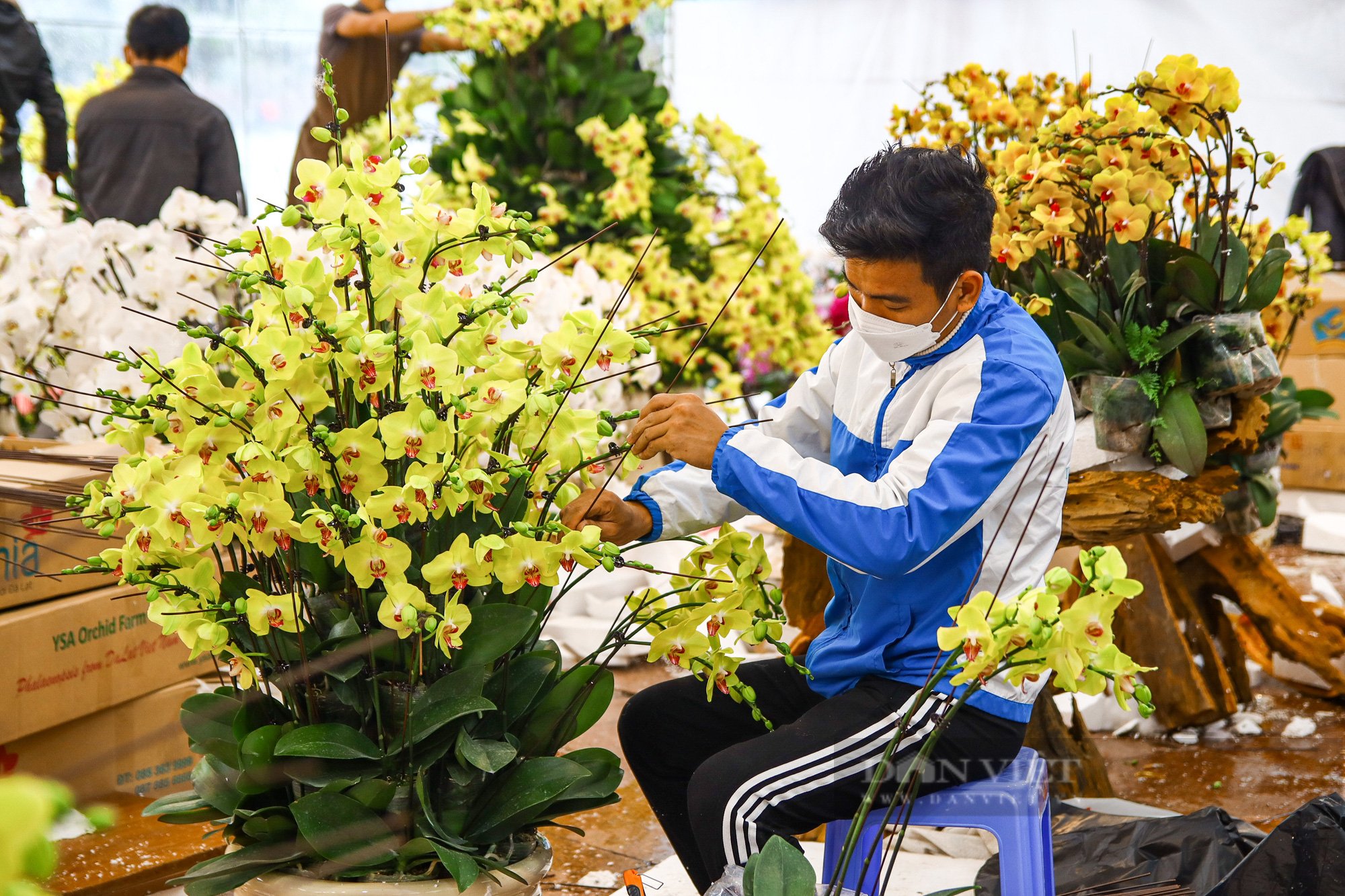 Lan giả hạc ghép gỗ lũa đủ kiểu dáng độc lạ giá chục triệu hút khách ngày cận Tết - Ảnh 11.