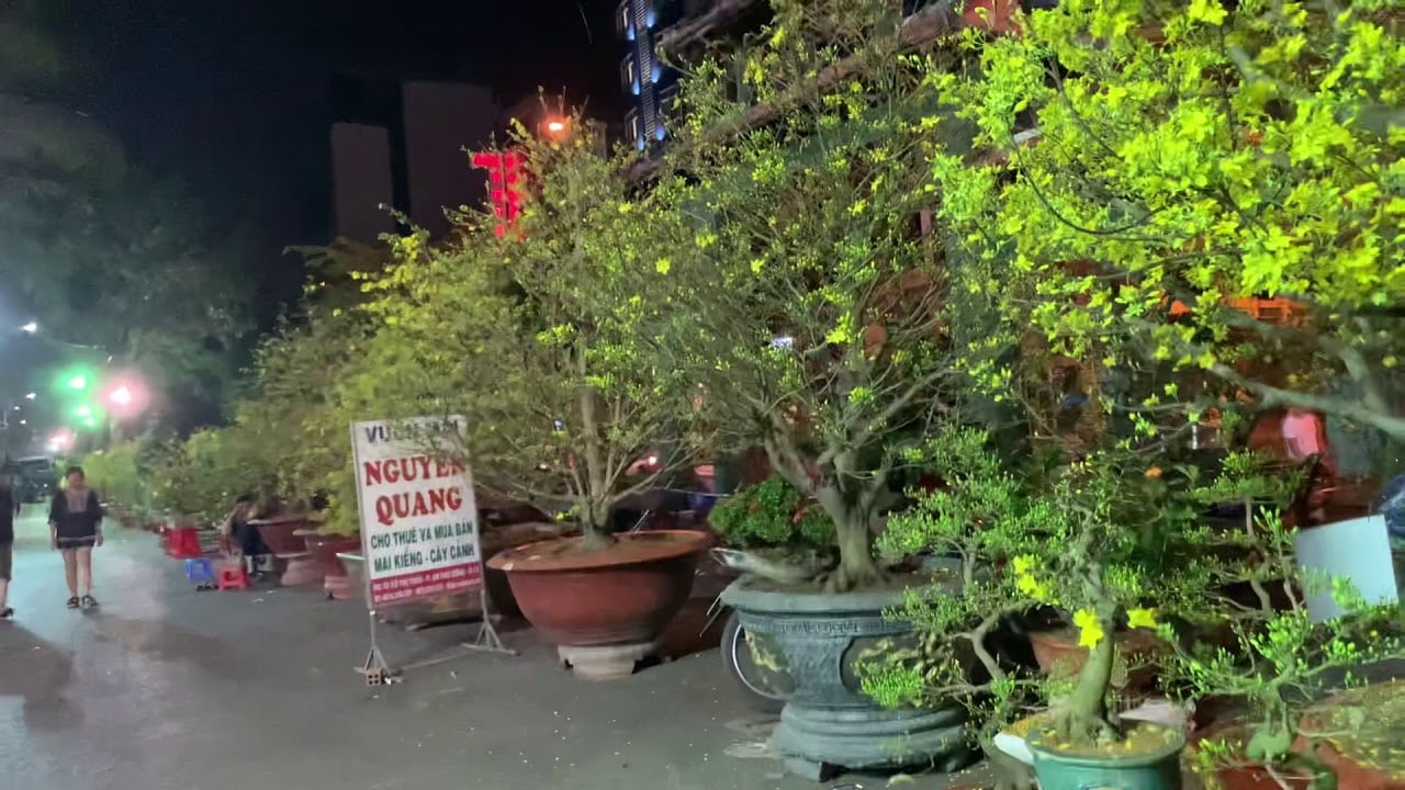 Top những chợ hoa ngày Tết nổi tiếng ở Sài Gòn nhộn nhịp và độc đáo - Ảnh 5.