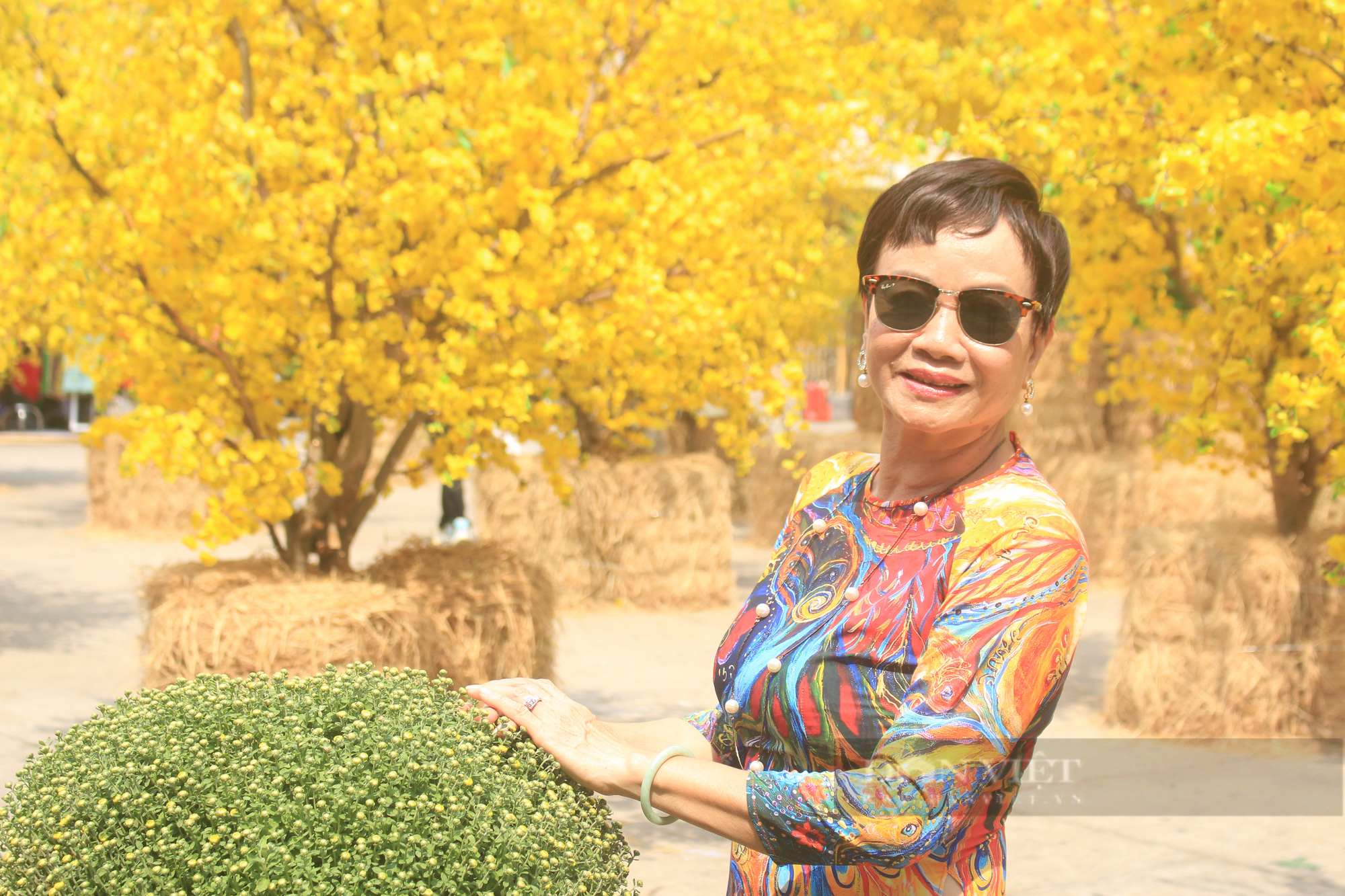 Người Sài Gòn xúng xính áo dài tại Đường mai vàng, Phố ông đồ: Mong TP.HCM duy trì vùng xanh đón Tết - Ảnh 5.