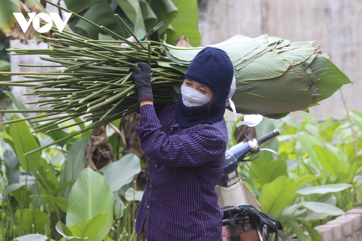 Làng Tràng Cát vào vụ, người dân tất bật vì bán chạy thứ lá &quot;thần thánh&quot; không thể thiếu mỗi dịp Tết - Ảnh 13.