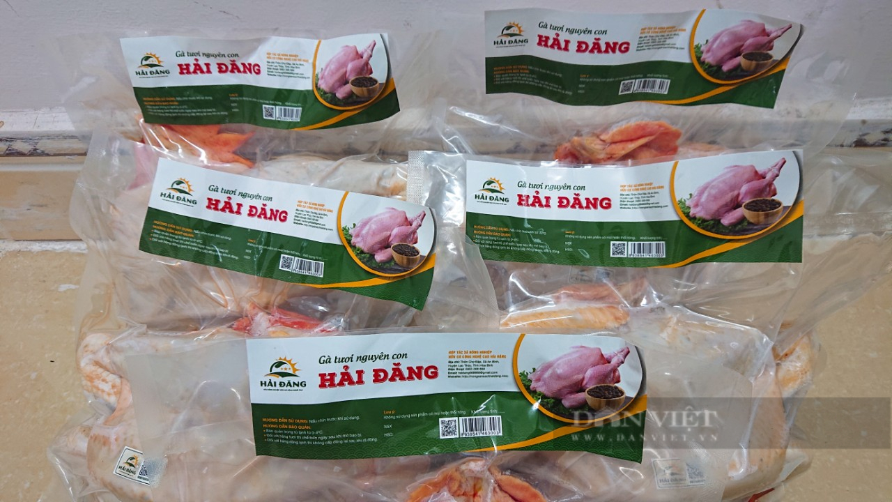 Giá gia cầm hôm nay 19/1: Giá vịt thịt đi ngang, giá gà thả vườn tăng cao, nhiều trại &quot;cháy hàng&quot; - Ảnh 2.