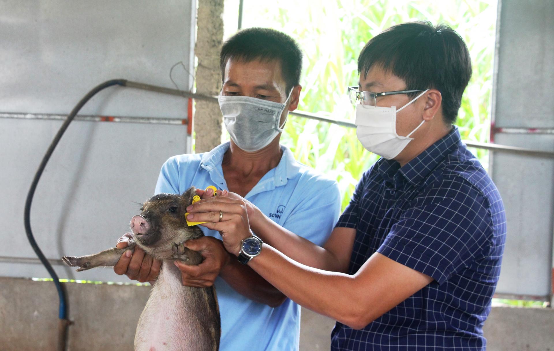 Chuyển đổi số nông nghiệp: Nuôi heo rừng trên nền tảng số, trồng rau sạch ứng dụng công nghệ IoT - Ảnh 3.