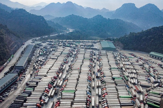 Hàng ngàn xe nông sản, trái cây quay lại thị trường nội địa - Ảnh 1.