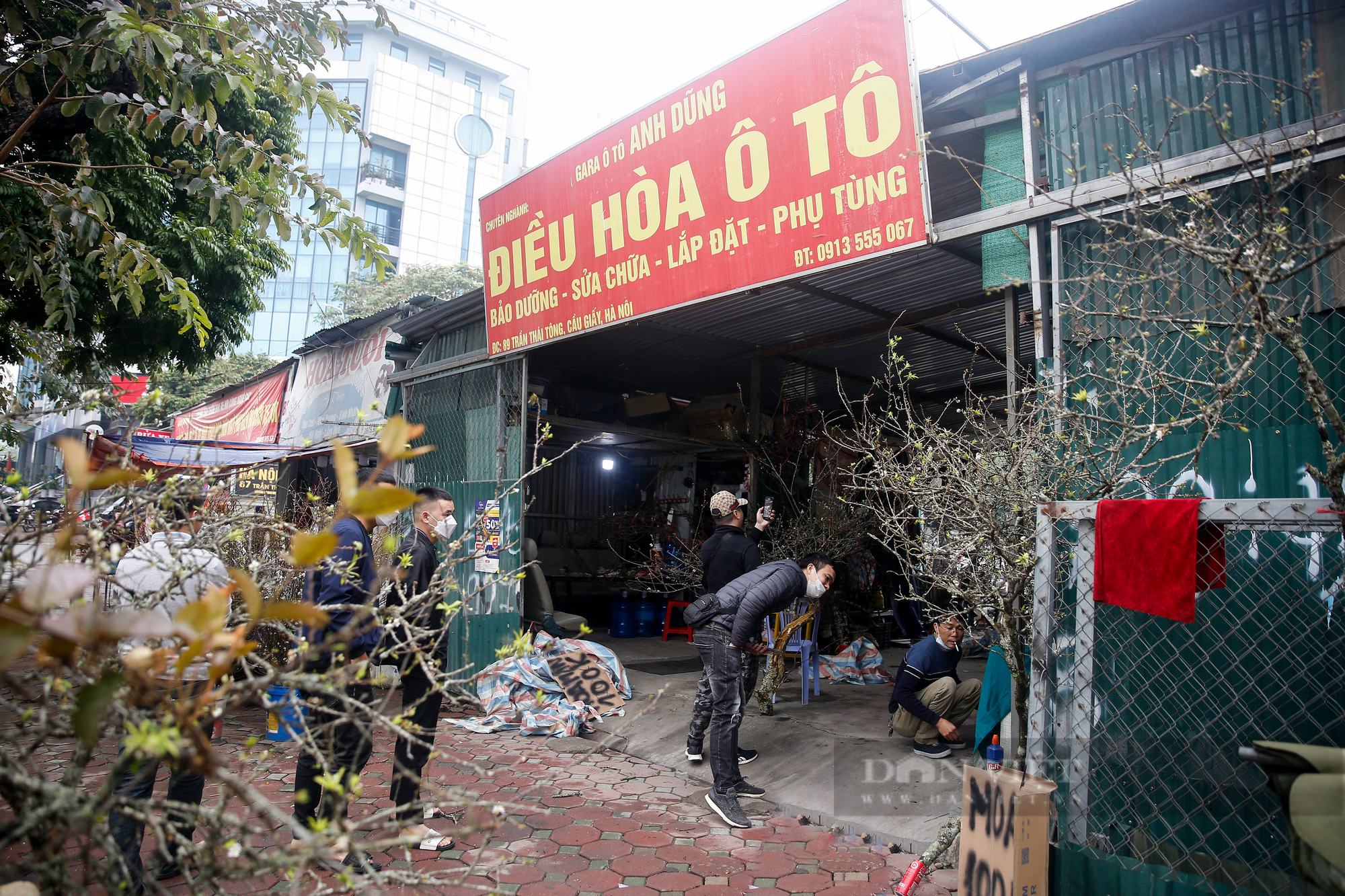 Nhà hàng, quán nhậu, gara ô tô bất ngờ chuyển sang bán đào, quất  - Ảnh 6.