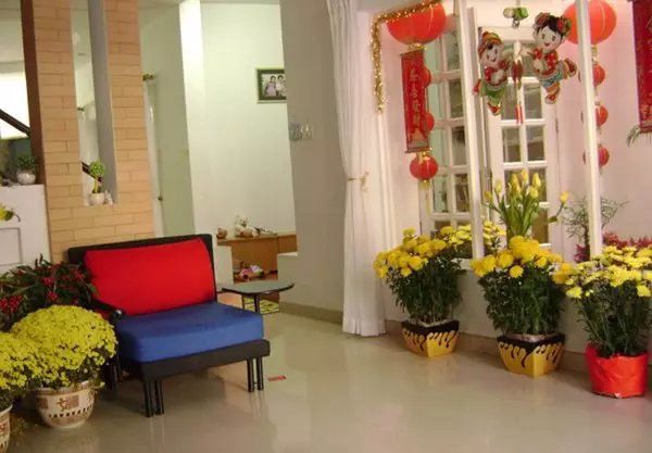 Bày cây cảnh Tết nên chú ý 5 điểm này để hút tài lộc, mang may mắn vào nhà - Ảnh 1.