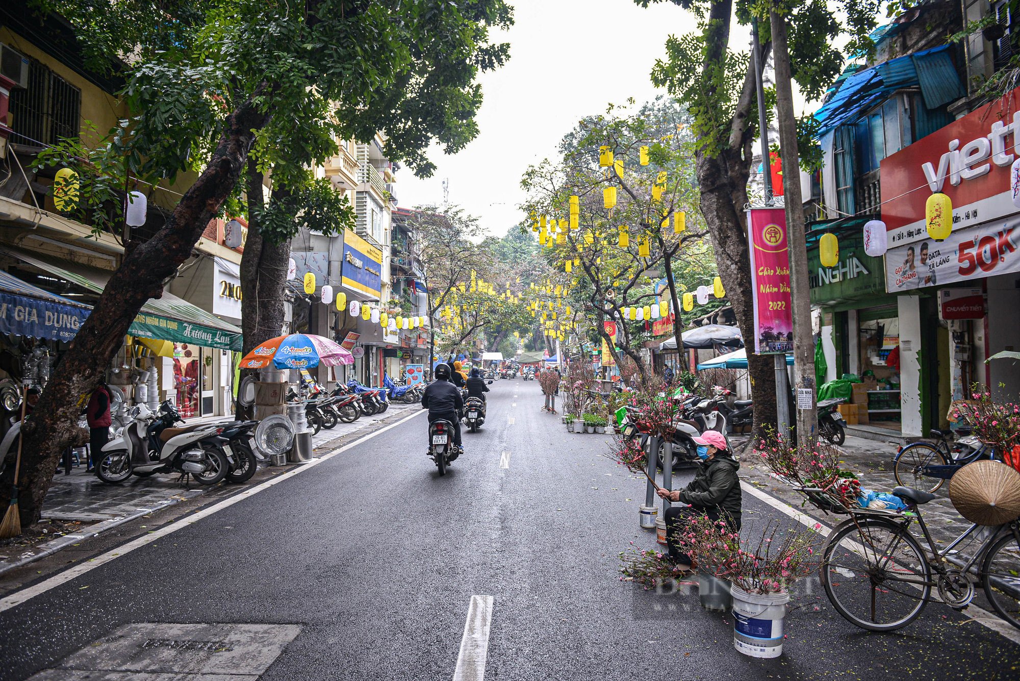Chợ hoa truyền thống nổi tiếng nhất Hà Nội đìu hiu khách ngày đầu khai mạc - Ảnh 1.