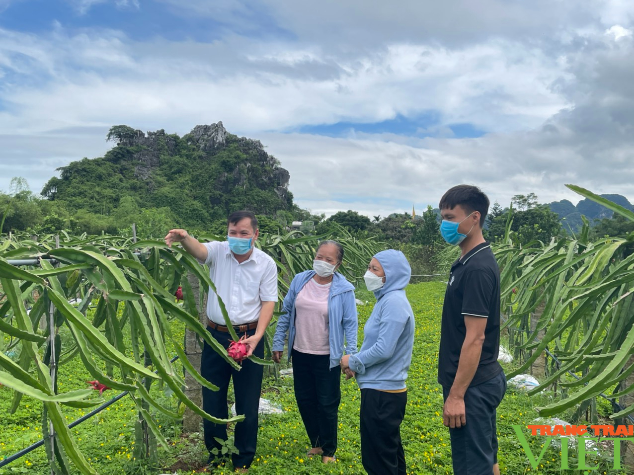 Hội Nông dân Hoà Bình: Tổ chức đào tạo, dạy nghề hơn 2.000 hội viên trong năm 2021 - Ảnh 4.