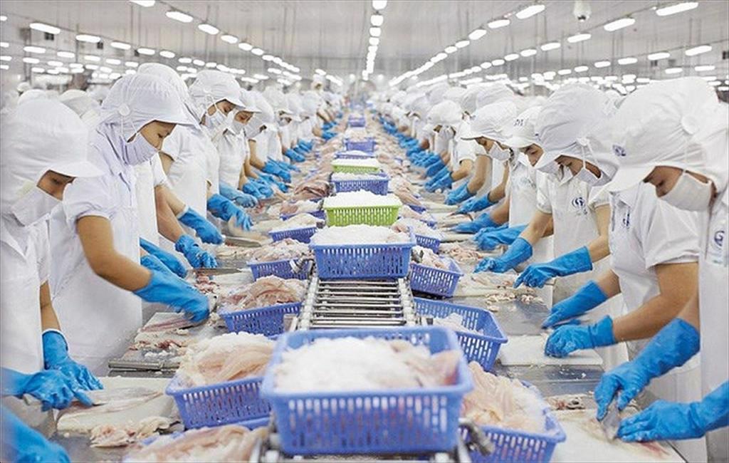 "Đau khổ" vì bán tôm cá sang Trung Quốc nhưng đưa vào thị trường này thì đứng ngay thứ 2 - Ảnh 1. "Đau khổ" vì bán tôm cá sang Trung Quốc nhưng đưa vào thị trường này thì đứng ngay thứ 2 - Ảnh 1.