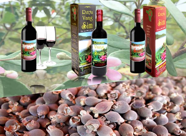 Phú Quốc với hai món ẩm thực này khiến du khách khỏe như lực sĩ, gia tăng chuyện chăn gối - Ảnh 7.