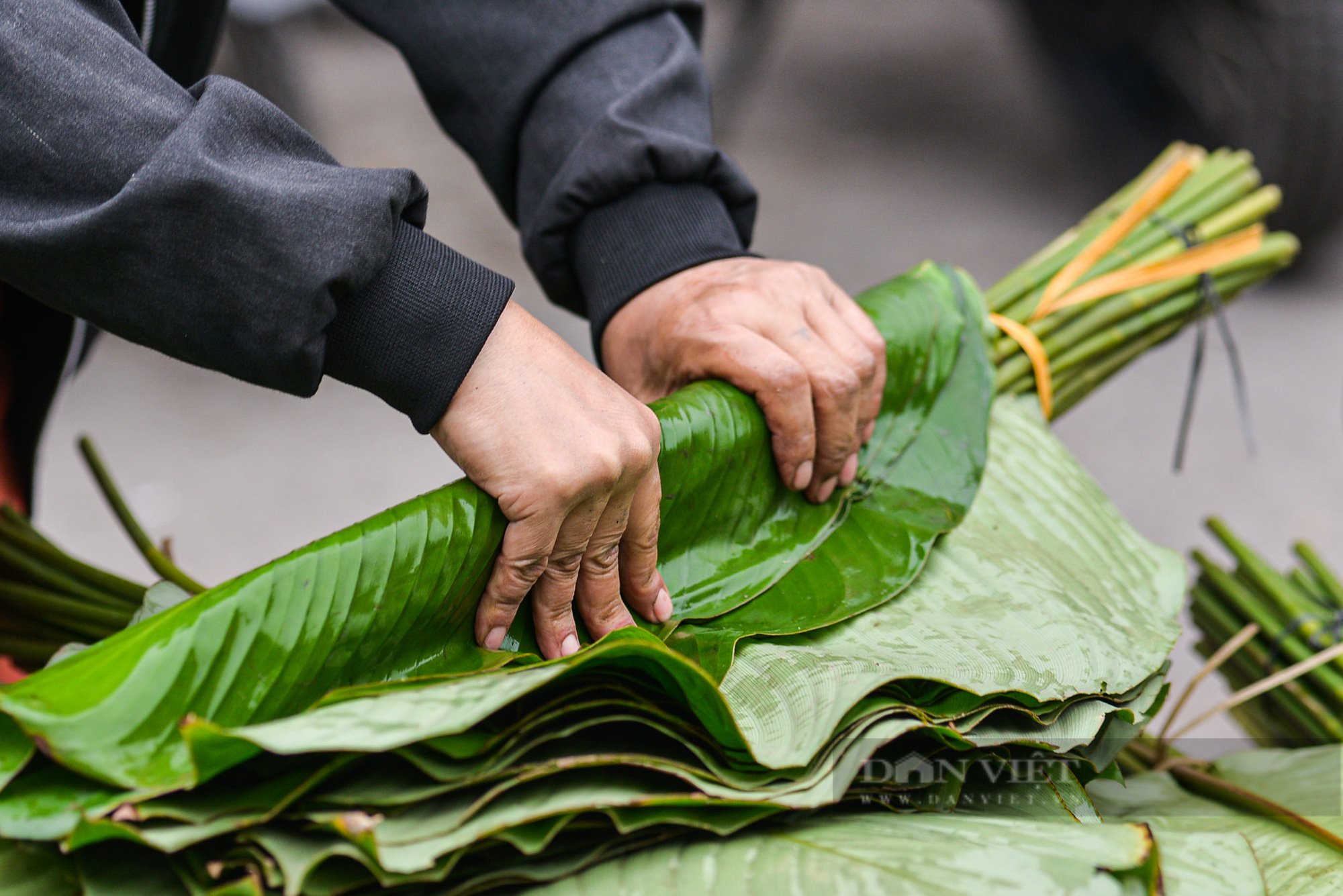  Chợ lá dong lâu đời ở Hà Nội dù vắng khách nhưng giá vẫn cao - Ảnh 6.