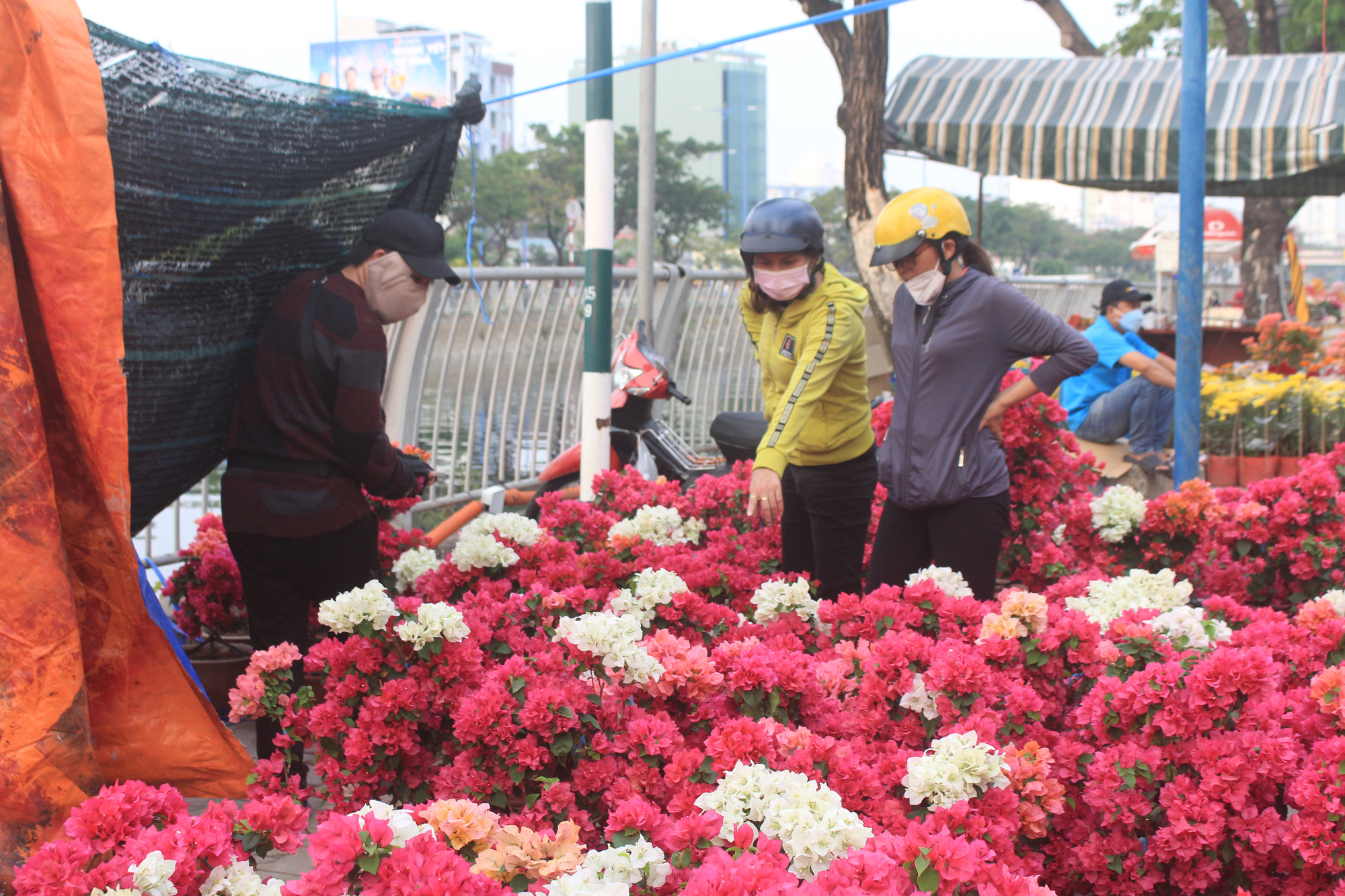 Thấy ghe hoa về bến Bình Đông là thấy Tết - Ảnh 4.