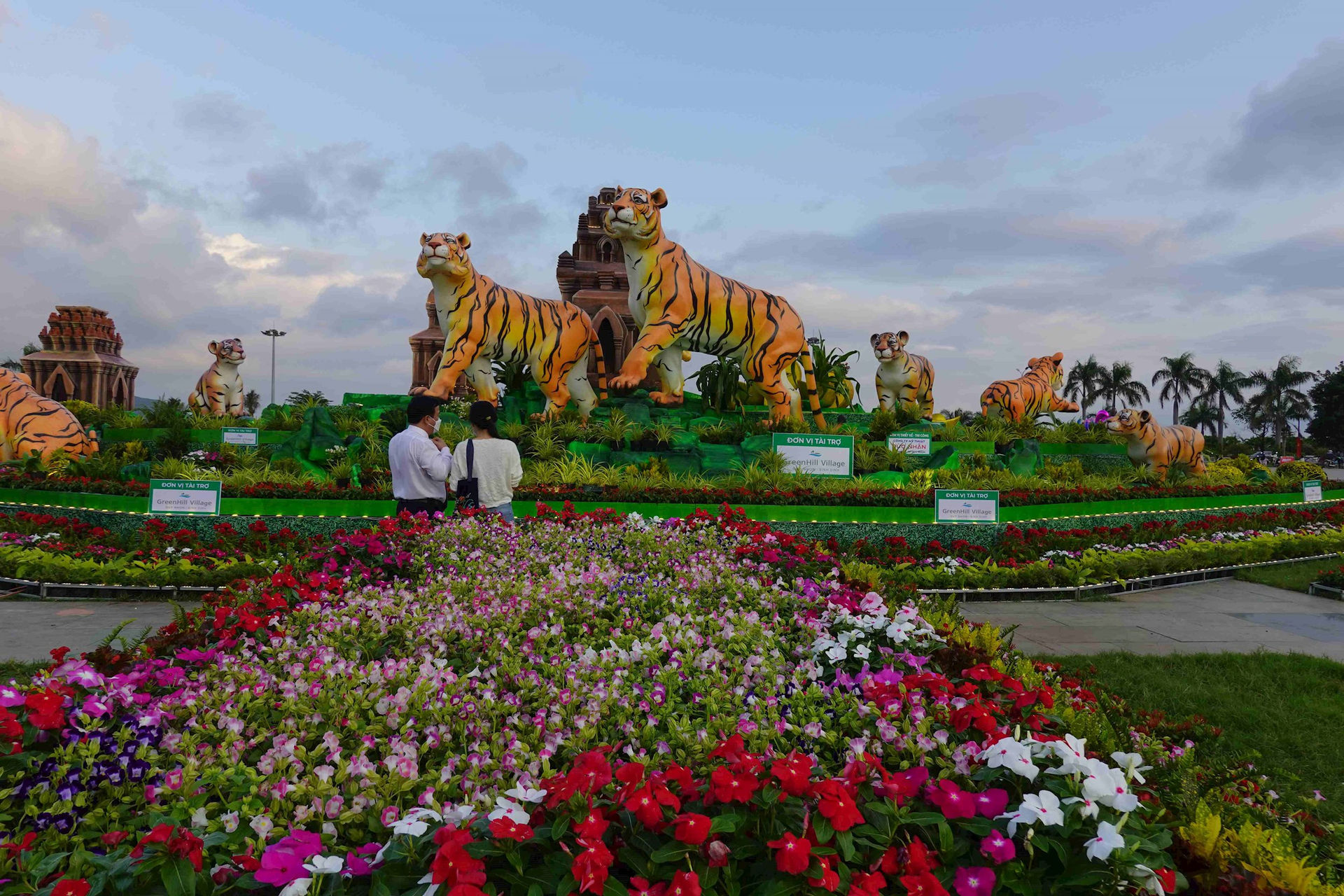 Gia đình Hổ "sum vầy" đón xuân Nhâm Dần tại Bình Định - Ảnh 3. Gia đình Hổ "sum vầy" đón xuân Nhâm Dần tại Bình Định - Ảnh 3.