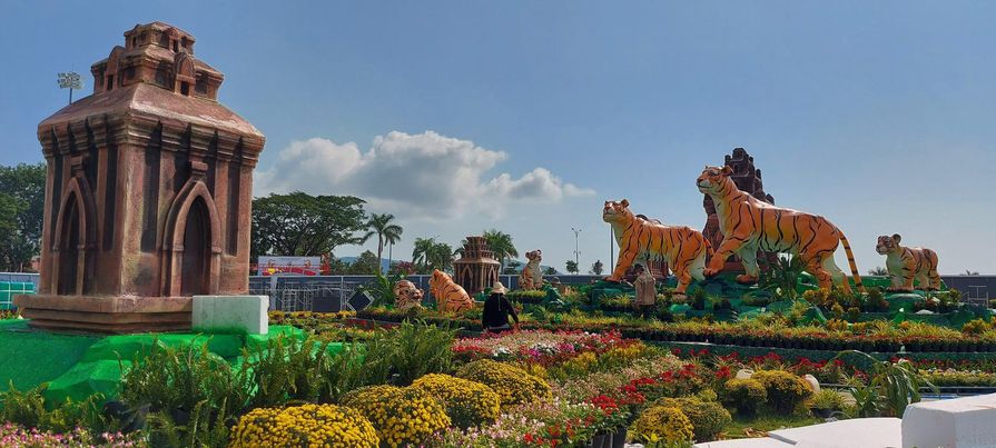 Gia đình Hổ "sum vầy" đón xuân Nhâm Dần tại Bình Định - Ảnh 1. Gia đình Hổ "sum vầy" đón xuân Nhâm Dần tại Bình Định - Ảnh 1.
