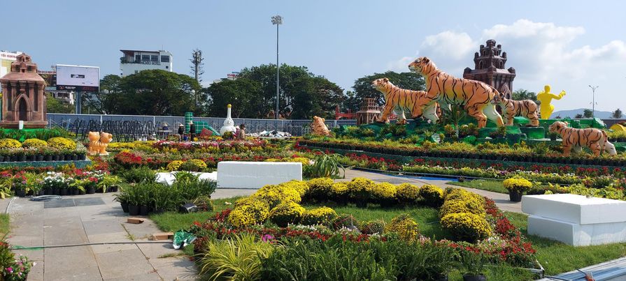 Gia đình Hổ "sum vầy" đón xuân Nhâm Dần tại Bình Định - Ảnh 4. Gia đình Hổ "sum vầy" đón xuân Nhâm Dần tại Bình Định - Ảnh 4.