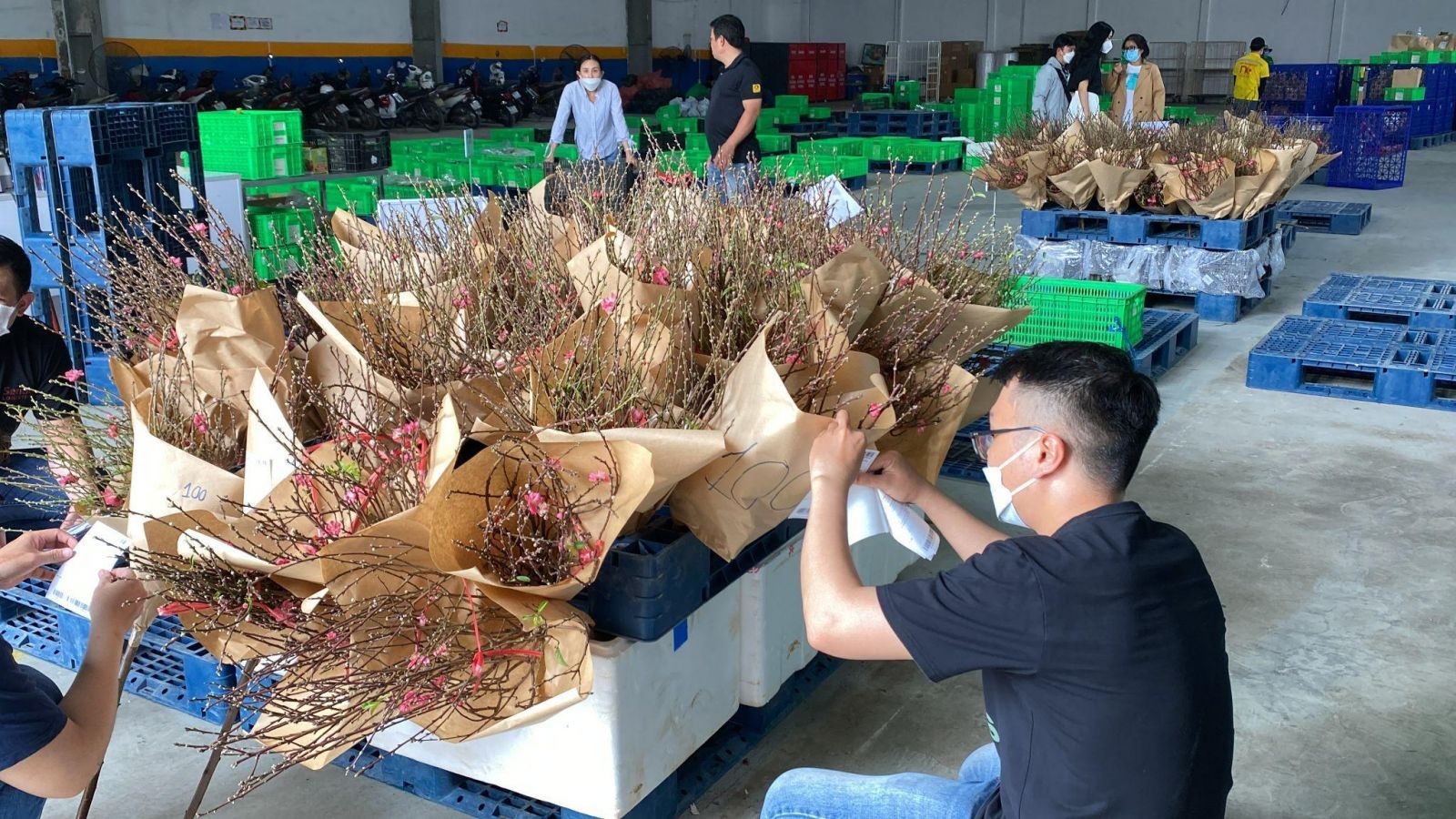 Người Hà Nội muốn mua mâm ngũ quả &quot;cầu tiền dừa đủ xài&quot; chỉ cần làm theo cách này - Ảnh 1.