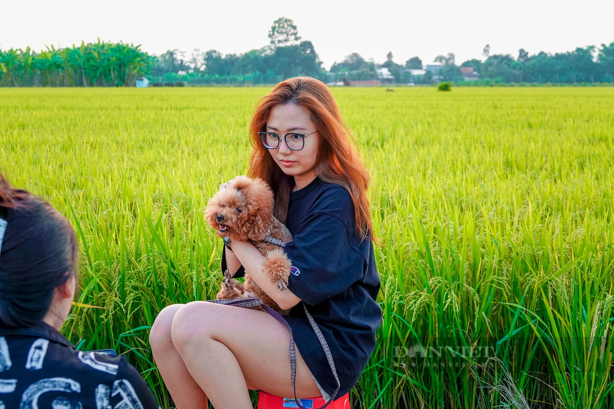 Quán ăn giữa ruộng ở Cần Thơ bất ngờ thu hút cả trăm người dân đến ăn, chụp ảnh mỗi ngày - Ảnh 7.