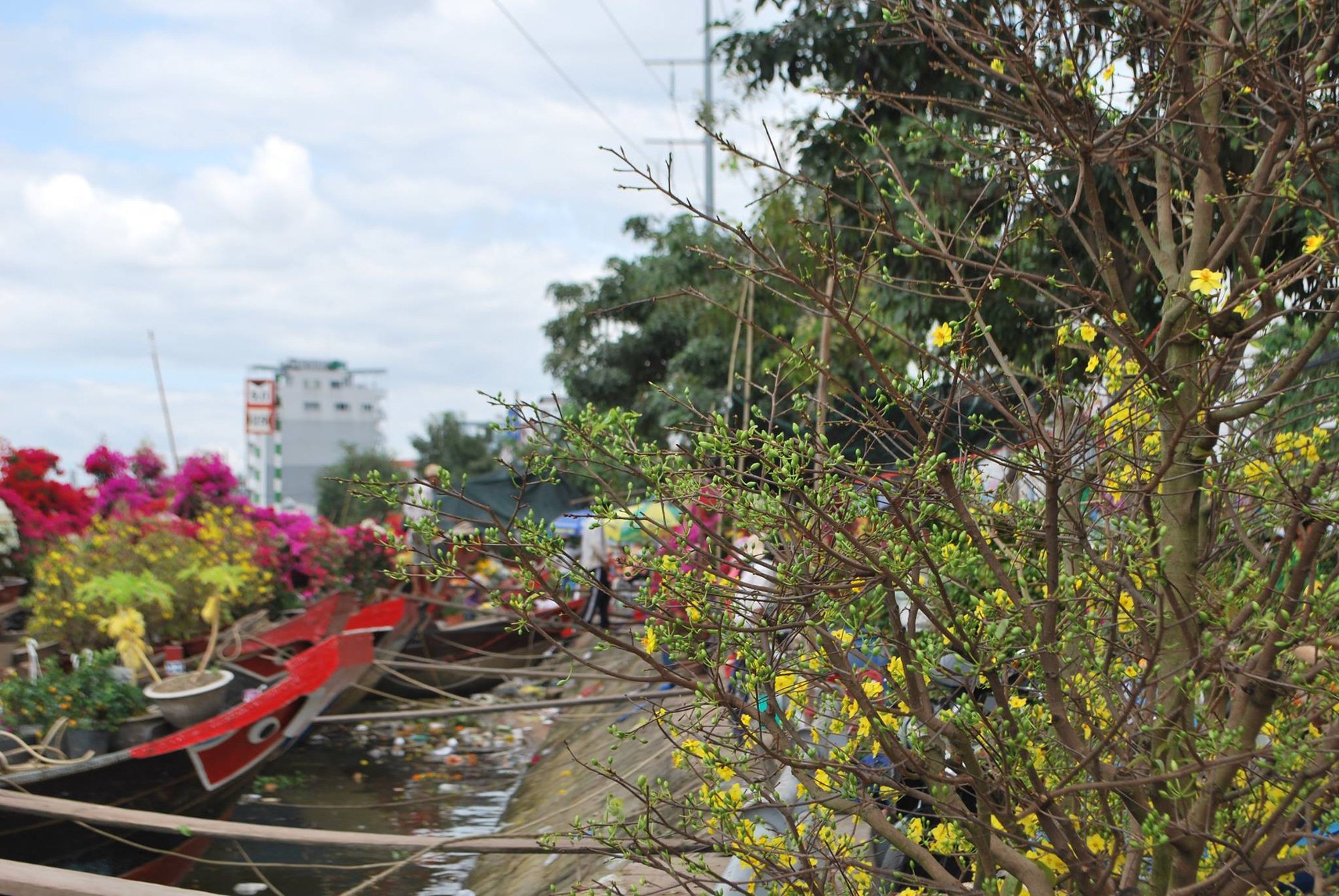 Chợ hoa xuân &quot;trên bến dưới thuyền&quot; - nét độc đáo của Tết Sài Gòn xưa và nay - Ảnh 9.