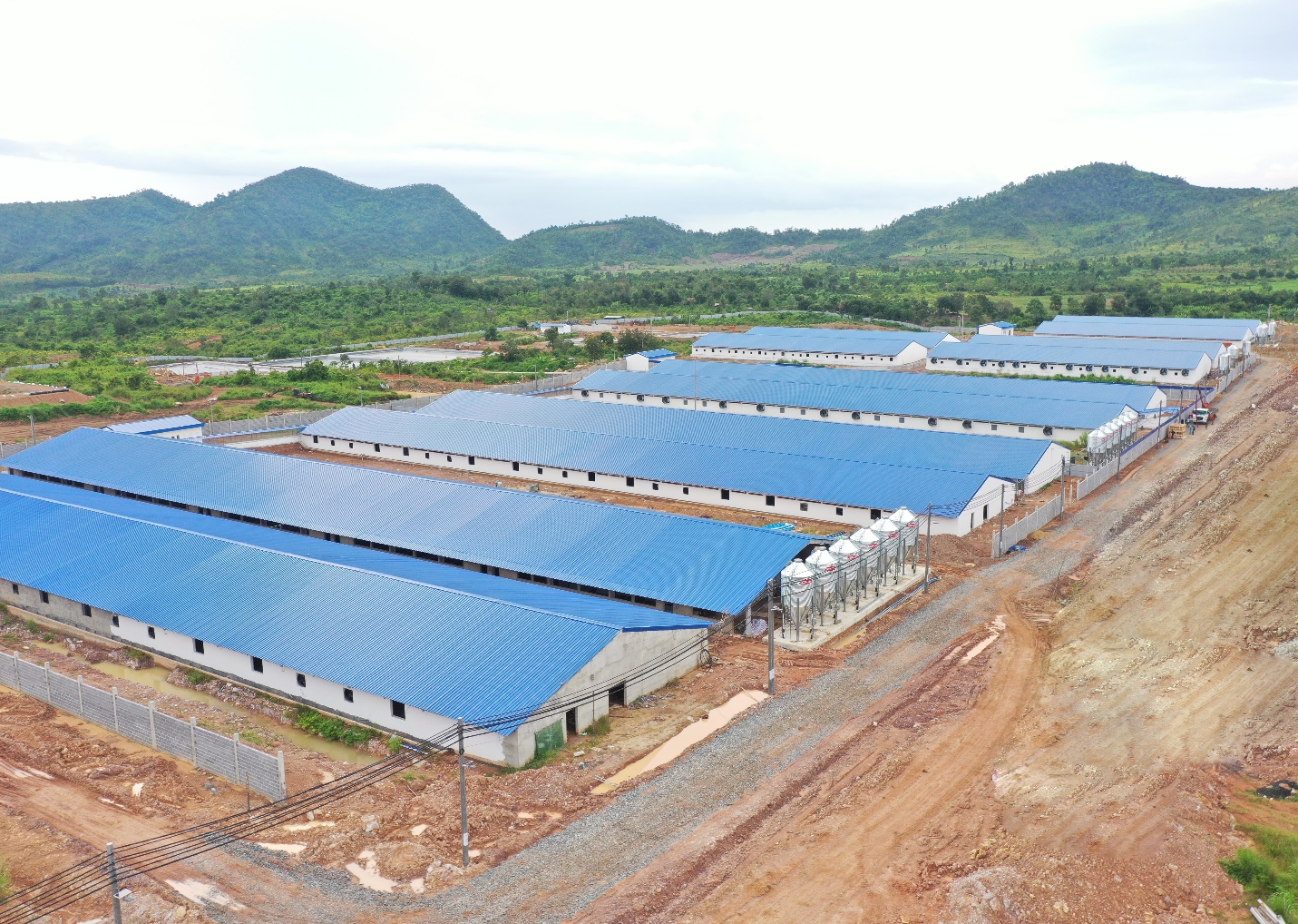Tập đoàn Hùng Nhơn chia sẻ khó khăn, tặng quà tết cho hàng nghìn người nghèo các tỉnh Tây Nguyên - Ảnh 6.