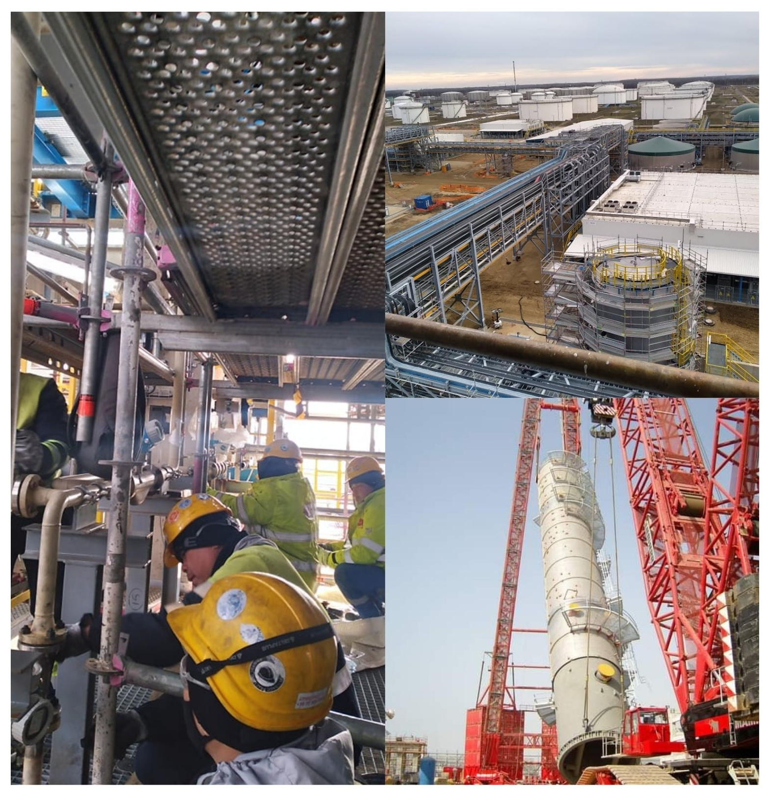 Người Việt ở nước ngoài bồi hồi đón Tết cổ truyền và mong ước cháy bỏng năm Nhâm Dần - Ảnh 4.