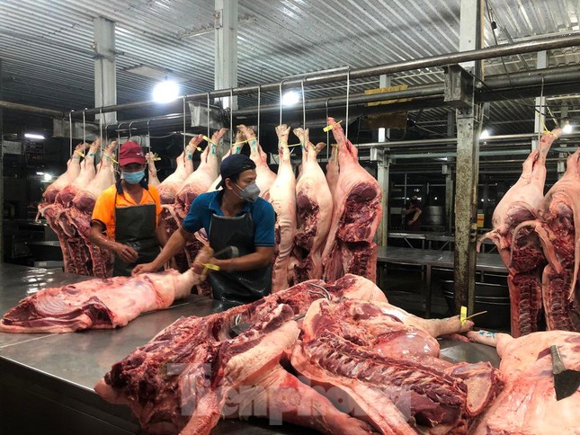 Giá heo bất ngờ bật tăng - Ảnh 2.
